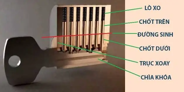 Cấu Tạo Ổ Khóa Cửa Hoạt Động Như Thế Nào? Nguyên Lý Vận Hành Chi Tiết Từ A–Z